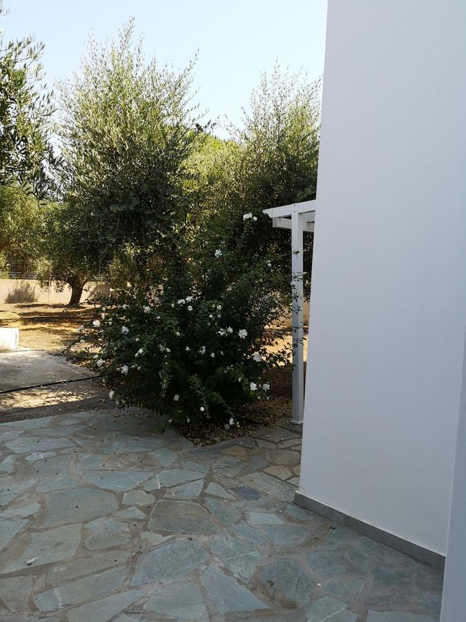Villa Leonidas Masticharion Exteriör bild